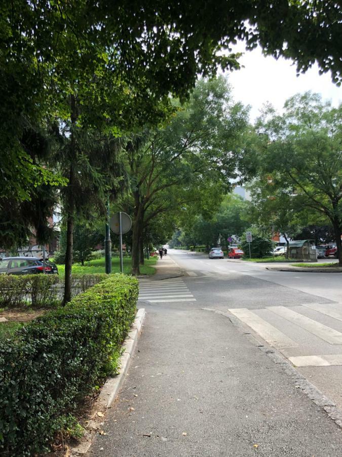 8 * SJJ